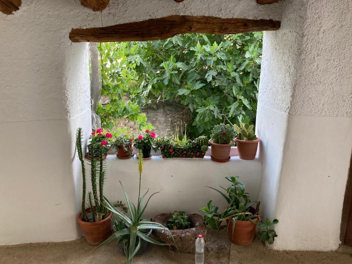 Holiday home Casa Barbara *